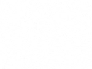 S1